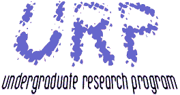 Undergraduate Research Program